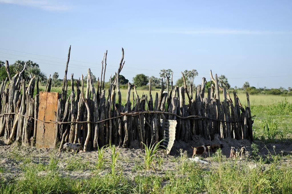 Ongula Village Homestead Lodge Ondangwa Exterior photo